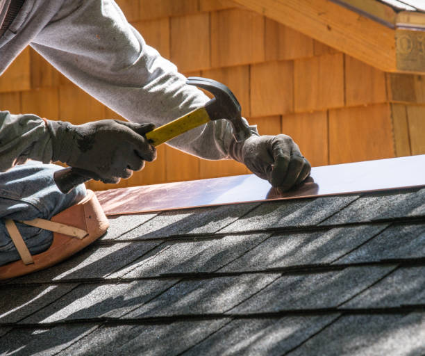 Best Metal Roofing Contractor  in Duluth, GA